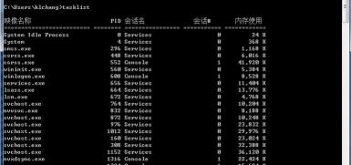 System Idle Process：电脑空闲时的正常进程，无需担忧