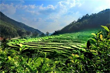 云雾仙人洞景区：粤西第一峰的仙境之旅