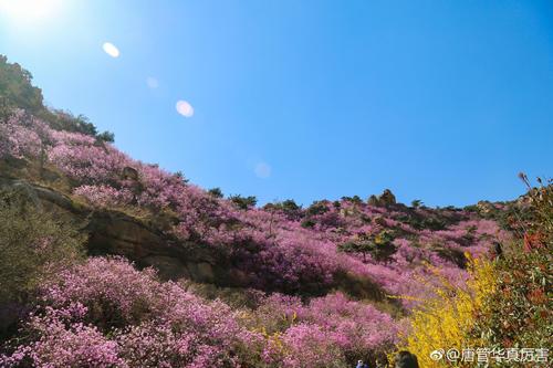 大珠山风景区：峰峦挺拔，杜鹃花海，古迹繁多