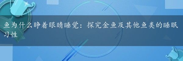 鱼为什么睁着眼睛睡觉：探究金鱼及其他鱼类的睡眠习性