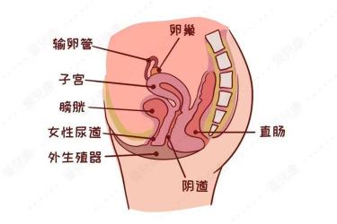 肚子隐隐作痛怎么回事：消化、妇科、泌尿系统疾病的可能性