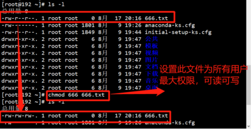 Linux系统中无法删除文件的秘密：文件权限与目录权限的双重制约