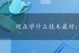 现在学什么技术最好：00后技术学习指南