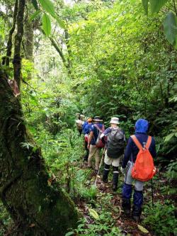 高黎贡山：峡谷、动植物与自然的和谐共生