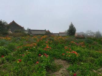 房山百花山，自驾游玩、参观古寺与高山草甸的完美之旅