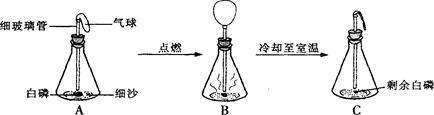 镁在空气中燃烧，剧烈反应与独特现象解析