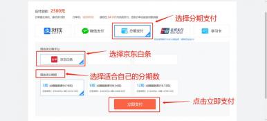 京东白条使用全攻略，从开通到支付的详细指南