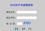 湖南中考成绩查询：入口、时间及方式一览