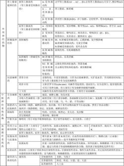 麻醉药品：局部与全身麻醉药物的分类及作用