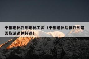 取消退休待遇：理解其含义及影响