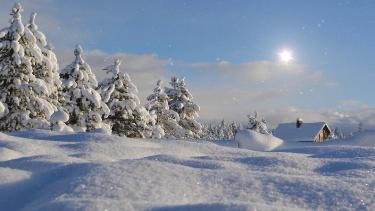 天会下雪：原因与科学解析