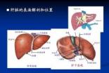 自免肝的诊断与治疗：从临床症状到影像学检查