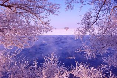 人工降雪：云端中的魔法，创造浪漫的雪景