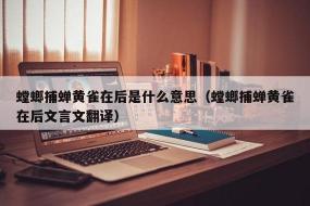 螳螂捕蝉翻译：揭示背后隐藏的危机