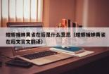 螳螂捕蝉翻译：揭示背后隐藏的危机