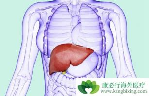 丙肝的危害：从肝功能损害到肝硬化、肝癌的演变