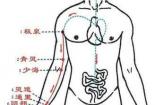 少府穴：心经的秘密宝藏，养生调理的良穴
