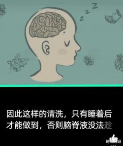 晚睡晚起到底行不行？科学揭秘作息时间与智商关系