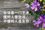 花的句子，感受自然之美：唯美心情短语，让心灵得到绽放