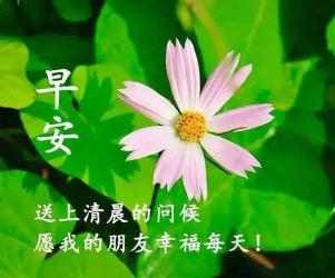 早上说说心情优美句子：迎接新的一天，让心情如阳光般明媚