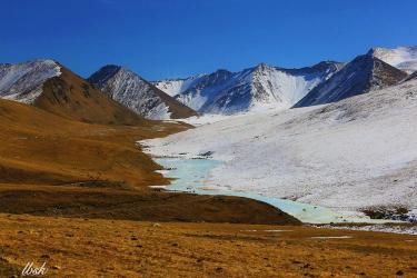 天堂牧场：中国高山草甸的美丽画卷