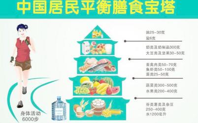 人体需要哪些营养：从碳水化合物到膳食纤维