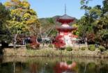 大觉寺：平安时代的天皇行宫，抄写佛经的心灵之旅