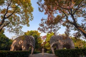 钟山在哪：南京市中心的紫金山风景区