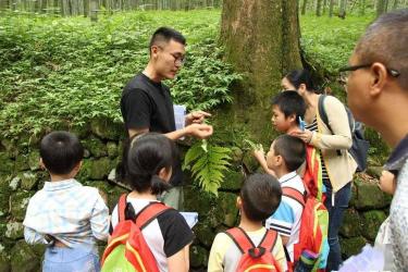 成都植物园：科普与自然的完美融合，探秘人工植物奇境