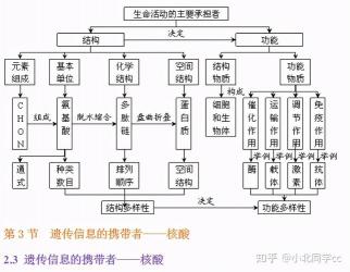 高中生物怎么学？六大攻略助你轻松掌握！