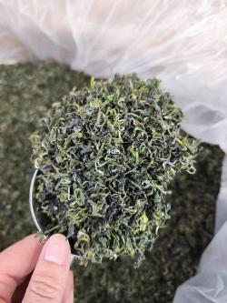 日照绿茶：北方茶中的璀璨明珠，独特品质引领绿茶新风潮