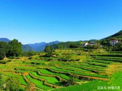 阳光星期八公园：海淀区的自然休闲胜地，探寻都市中的宁静