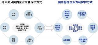 苏州创元：知识产权领域的领航者，一站式专利商标服务专家