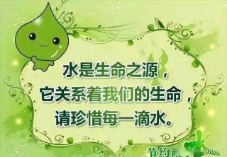 节水日：珍视每一滴水，守护生命之源