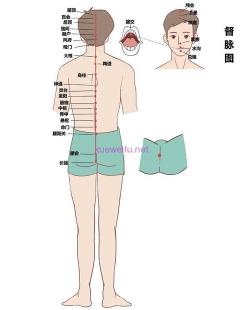 督脉图：臀部经络的奥秘与健康之道