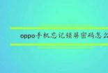 OPPO手机忘记密码怎么办？轻松解锁教程，一步到位！