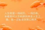 励志爱情金句：点亮幸福之路的深情告白