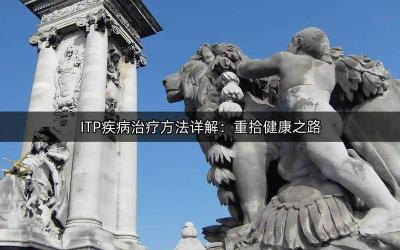 智力低下也能改善：全面治疗与个性化方案助你重拾智慧