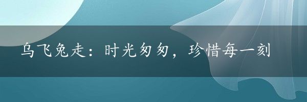 乌飞兔走：时光匆匆，珍惜每一刻