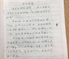 作文纸条：生活中的秘密启示与表达艺术