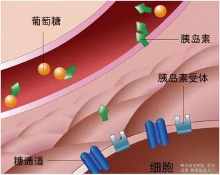 生活调整与饮食秘诀：预防老年痴呆的全方位指南