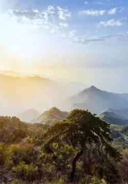 伏牛山世界地质公园：天然阔叶林森林生态系统的保护与游览