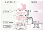 卵巢功能衰退调理指南：饮食、运动与药物三管齐下