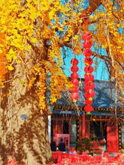 福州法海寺：千年古寺的神秘面纱与文化底蕴