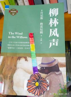 《柳林风声》读后感：一场关于友谊、冒险与成长的心灵之旅