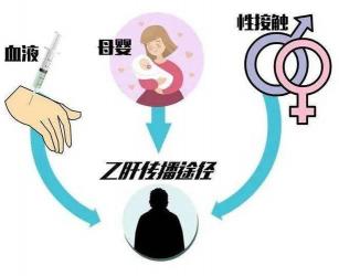 小三阳怀孕需谨慎：科学保护肝脏，确保母婴安全新指南