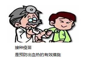 出血热传染人吗？了解疾病传播与预防措施，守护健康防线