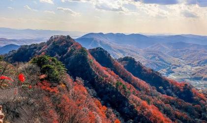 鸡冠山国家森林公园：自然与人文的完美融合