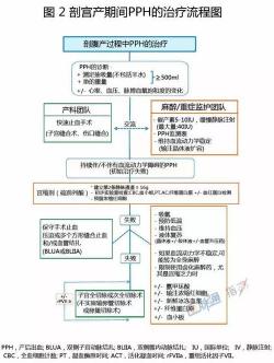 晚期产后出血：原因、症状与应对措施