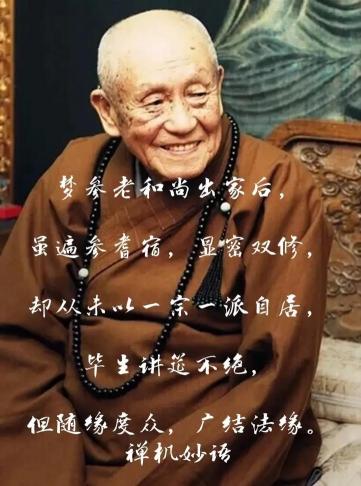 传印长老：佛教传承与现代佛学的桥梁